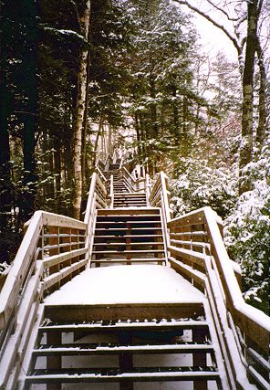 [Stairs at Cut River]